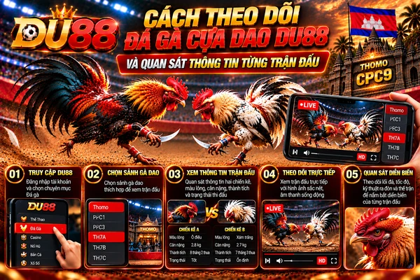 Hướng dẫn theo dõi đá gà cựa dao DU88 với các sảnh PC1, PC3, TH7A, TH7B, TH7C và thông tin từng trận đấu.