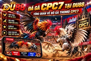 Đá gà CPC7 tại DU88 với hình ảnh hai chiến kê, bồ gà Thomo CPC7 và giao diện theo dõi trận đấu trực tuyến.
