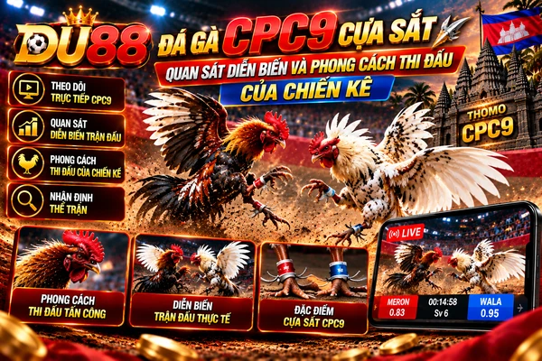 Đá gà CPC9 cựa sắt tại DU88 với hai chiến kê thi đấu, minh họa diễn biến trận đấu và phong cách thi đấu tại Thomo.