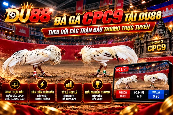 Đá gà CPC9 tại DU88 với hai chiến kê trắng, hình ảnh bồ gà Thomo CPC9 và giao diện theo dõi trận đấu trực tuyến.