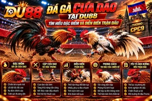 Đá gà cựa dao tại DU88 với hai chiến kê, đặc điểm cựa dao, phong cách thi đấu và diễn biến trận đấu Thomo.