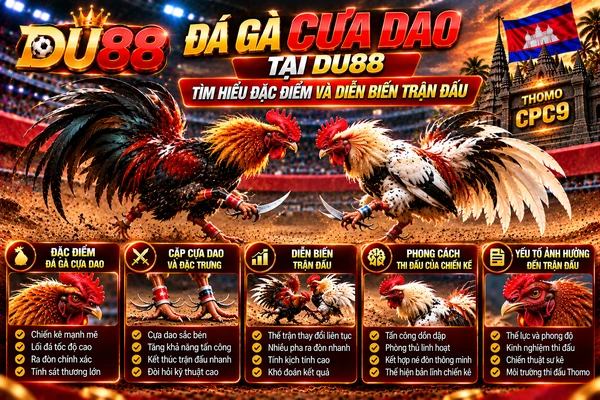 Đá gà cựa dao tại DU88 với hai chiến kê, đặc điểm cựa dao, phong cách thi đấu và diễn biến trận đấu Thomo.