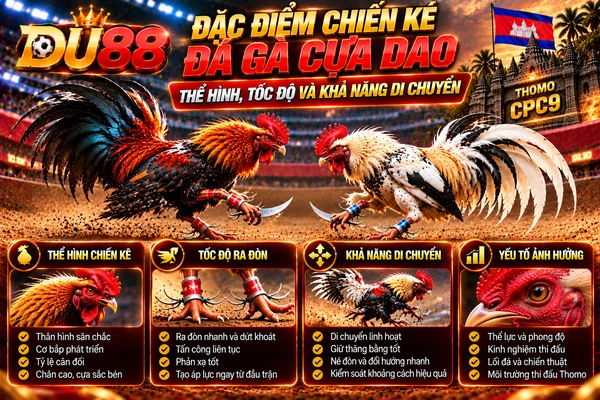 Đặc điểm chiến kê đá gà cựa dao tại DU88 với hình ảnh hai chiến kê, thể hình, tốc độ ra đòn và khả năng di chuyển.