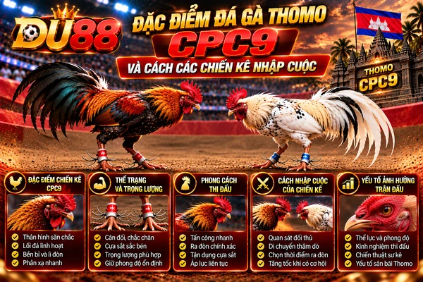Đặc điểm đá gà Thomo CPC9 tại DU88 với hai chiến kê, thể trạng, trọng lượng, phong cách thi đấu và cách nhập cuộc.