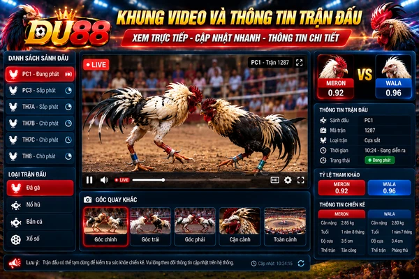 Giao diện khung video trực tiếp đá gà DU88 với hai chiến kê, thông tin trận đấu, danh sách sảnh và các góc quay.