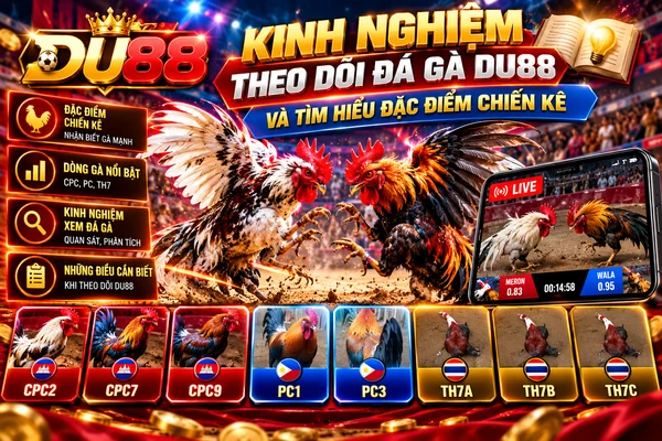 Kinh nghiệm theo dõi đá gà DU88 và tìm hiểu đặc điểm chiến kê tại các sảnh CPC2, CPC7, CPC9, PC1, PC3 và TH7A, TH7B, TH7C.