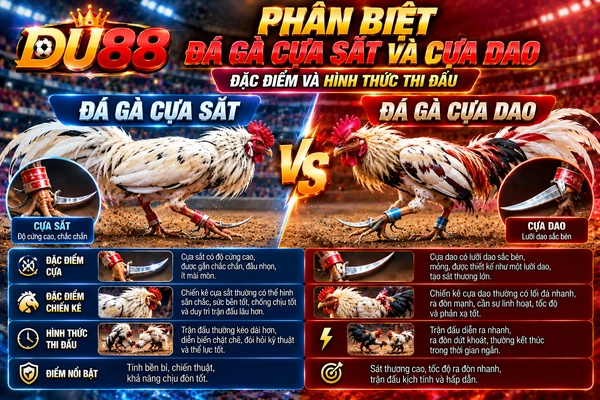 Phân biệt đá gà cựa sắt và cựa dao tại DU88 qua hình ảnh hai chiến kê, đặc điểm loại cựa, thể hình và hình thức thi đấu.