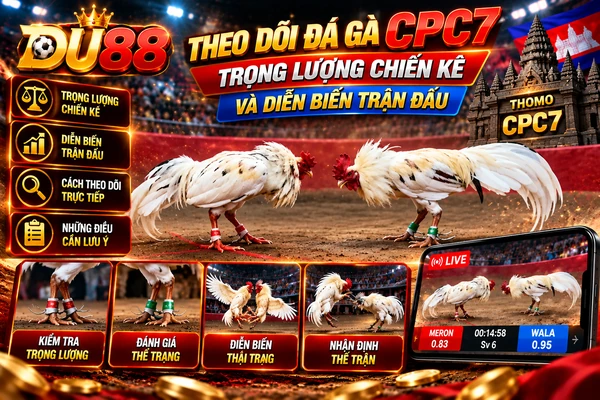 Theo dõi đá gà CPC7 tại DU88 với hai chiến kê trắng, thông tin trọng lượng, thể trạng và diễn biến trận đấu trực tuyến.