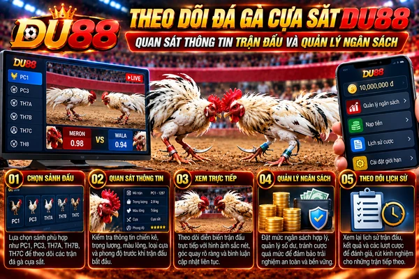 Theo dõi đá gà cựa sắt DU88 với hai chiến kê trắng, thông tin trận đấu, các sảnh PC1, PC3, TH7A, TH7B, TH7C và quản lý ngân sách.