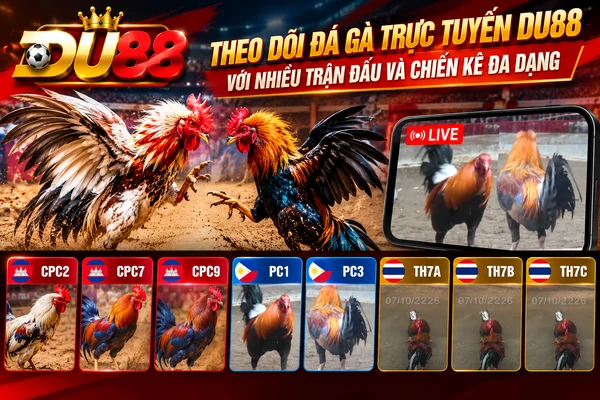 Theo dõi đá gà trực tuyến DU88 với nhiều trận đấu và chiến kê đa dạng tại CPC2, CPC7, CPC9, PC1, PC3 và TH7A, TH7B, TH7C.